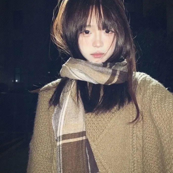 狗狗圣诞节